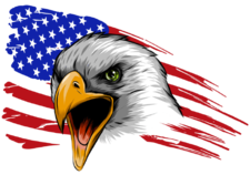 Logo for The Garage Door Guys of Central Illinois, LLC