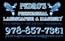 Avatar for Pedro's Phenomenal Landscape & Masonry