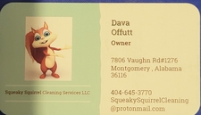 Squeaky Squirrel Cleaning Services logo