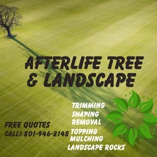 Pine Lake Tree & Landscape LLC logo