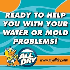 Logo for All Dry Services of North Tampa FL