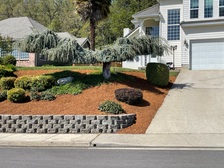 Avatar for Shane's Yard Care LLC