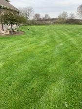 Logo for 4 Seasons Lawn Care