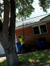 Avatar for Extreme Tree Trimming Tree Removal Service