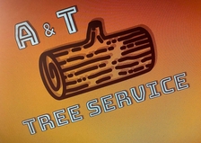 Avatar for A & T Tree Service