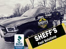 Avatar for Sheff's Pest Solutions, LLC