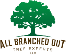 Logo for All Branched Out Tree Experts, LLC