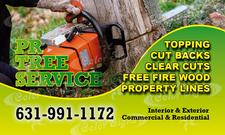 PR Tree Service logo