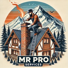 Logo for Mr. Pro Services, LLC
