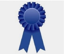 Logo for Blue Ribbon Cleaning