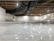 Avatar for Mold Pro's