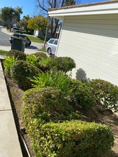 Logo for Torres Landscaping - Unlicensed Contractor