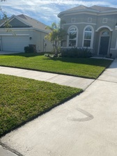 Logo for Better Green Lawn Maintenance