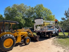 Avatar for Kenny's Tree Service & Removal