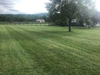 Spartan Lawn Care logo