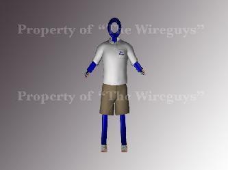 The Wire Guys logo