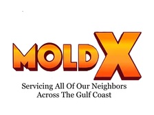 Avatar for MoldX