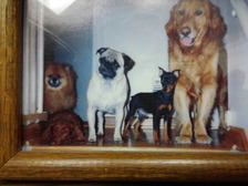 Avatar for K9 The Original Hidden Pet Fence Company