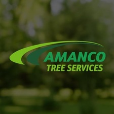 Logo for Amanco Tree Services