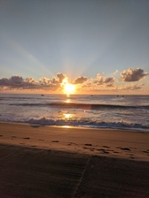 Logo for Sunrise Painting