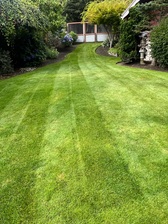 Logo for Lawn and Garden Care