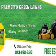 Logo for Palmetto Green Lawns