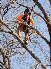 Avatar for Total Tree Maintenance, LLC