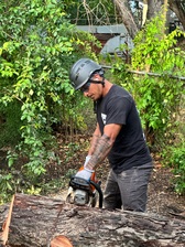 Logo for Total Tree Maintenance, LLC