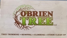 Logo for O'Brien Tree LLC