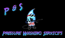 Avatar for P & S Pressure Washing Service's
