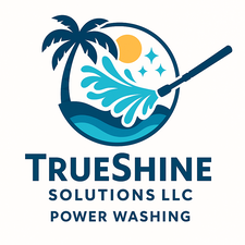 Avatar for True Shine Solutions