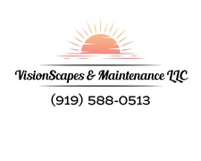 Visionscapes & Maintenance LLC logo