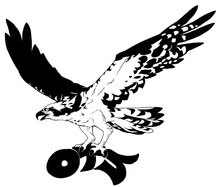 Logo for Osprey Technical Services