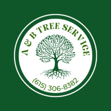 Avatar for A&B Tree Service