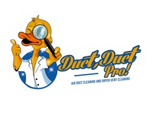 Logo for Dr. Detail 919, Inc.