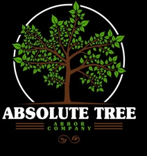Logo for Absolute Tree