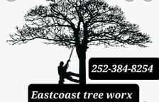 Avatar for East Coast Tree Worx