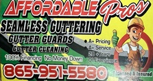 Affordable Pro Gutters logo