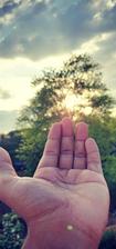 Avatar for Helping Hand