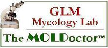 MOLDoctor, Inc. logo