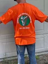 Logo for DeMasi Tree Service