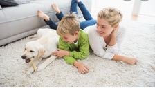 Avatar for SIMPLY GREEN DRY CARPET CLEANING, LLC