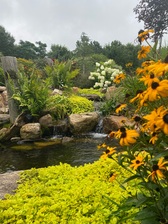 Avatar for Whites Waterscapes