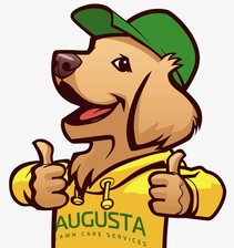 Augusta Lawn Care Services of Glendale logo