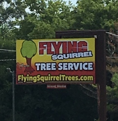 Flying Squirrel Tree Services Corporation logo