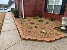 Avatar for Noe Tree Service & Landscaping