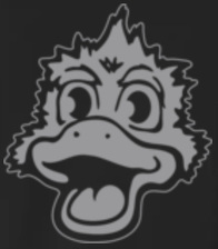 Avatar for Lucky duck services