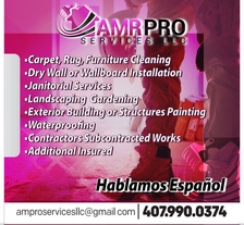 AMR PRO Services, LLC logo