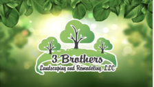 Logo for 3 Brothers Landscaping