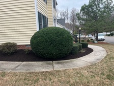 Logo for Fivestars Landscaping